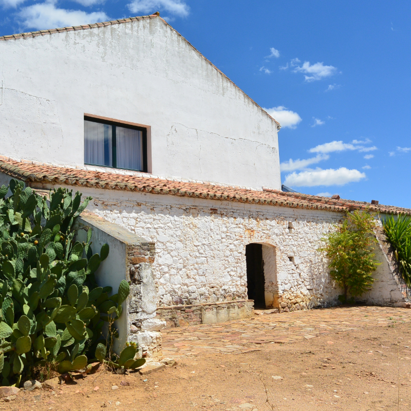Limpieza post obra y tratamiento de suelo de barro en cortijo en Ciudad Real - Cabezarados - Ciudad Real