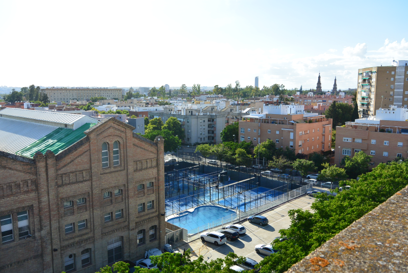 Limpieza y tratamiento de suelo de barro en terraza exterior en Sevilla - Sevilla - Sevilla