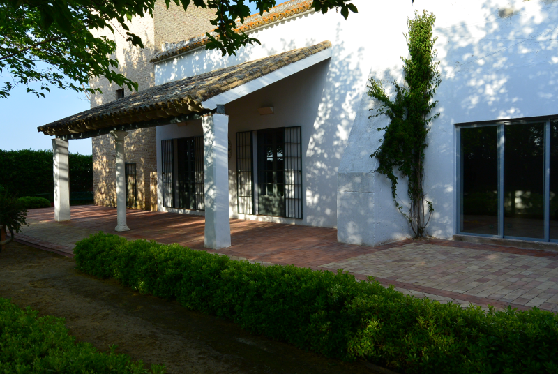 Limpieza y tratamiento de suelo de barro exterior en cortijo a las afueras de Sevilla - Sevilla - Sevilla