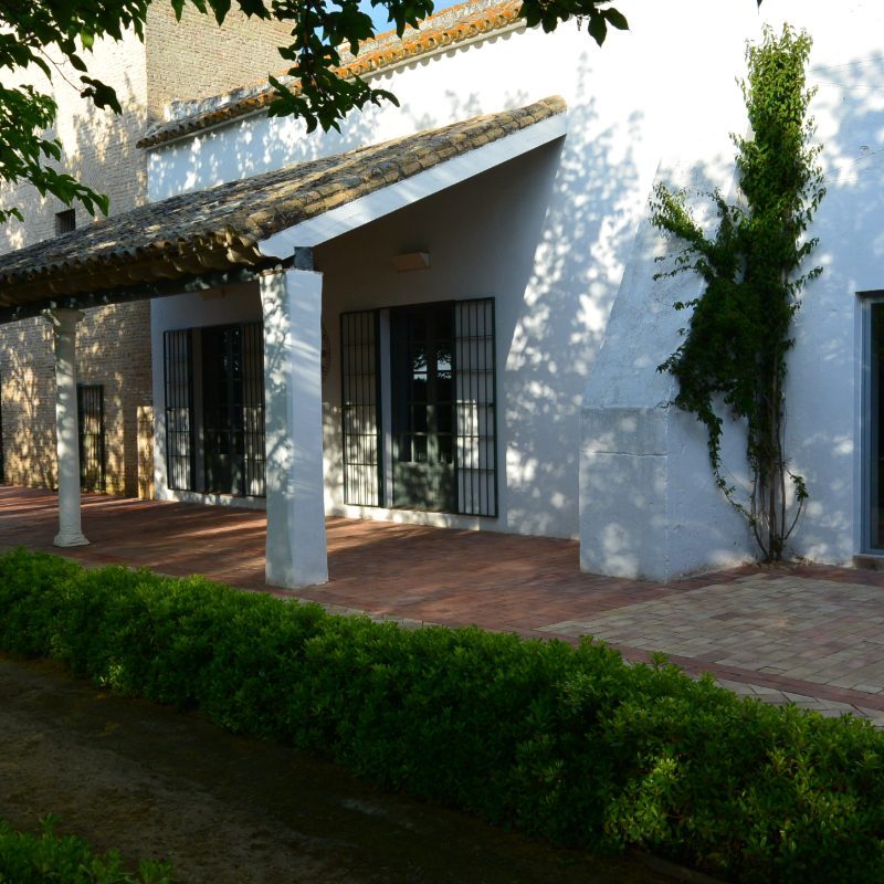 Limpieza y tratamiento de suelo de barro exterior en cortijo en San Jose de la Rinconada a las afueras de Sevilla - San Jose de la Rinconada - Sevilla
