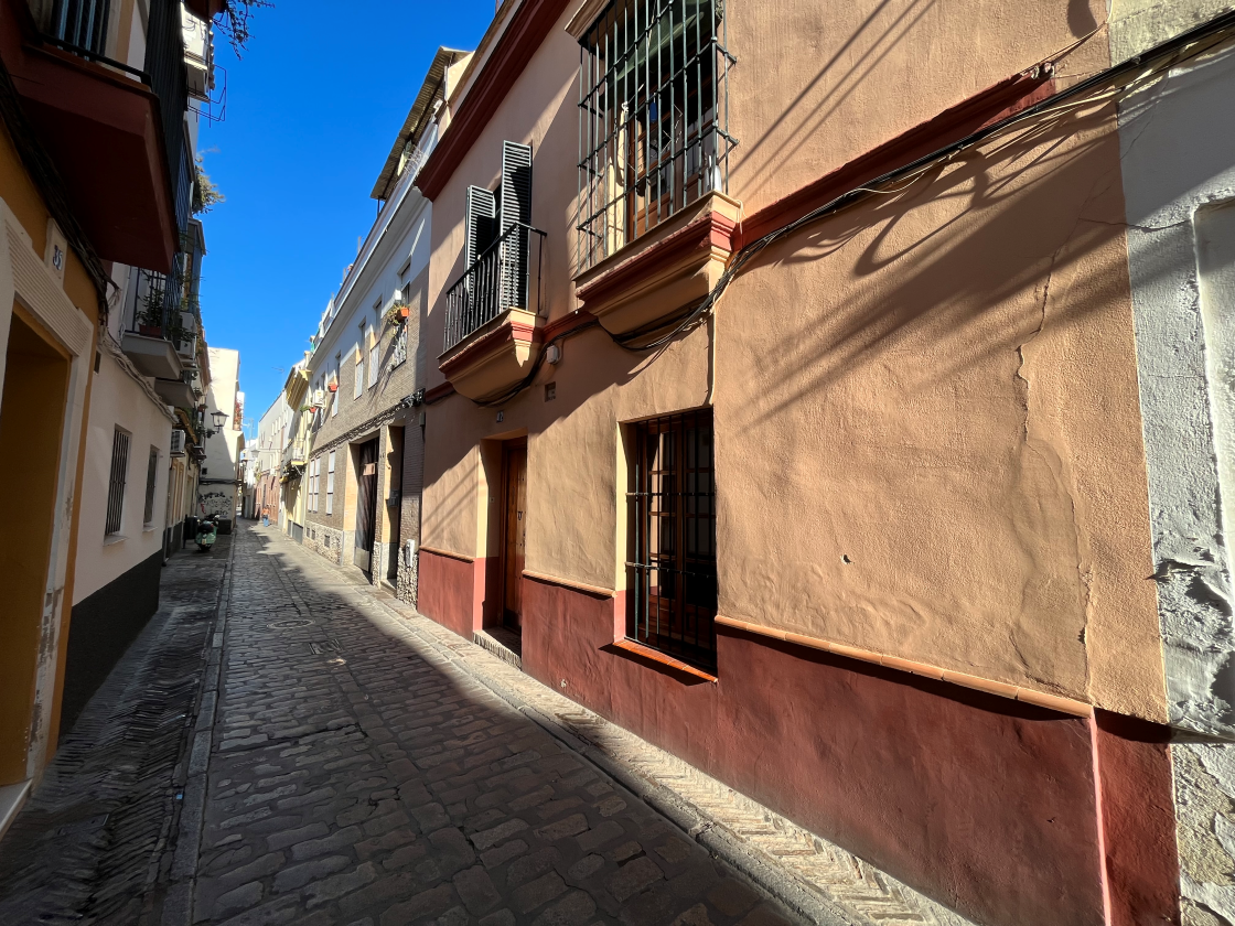 Limpieza y tratamiento de suelo de barro interior en vivienda en Sevilla