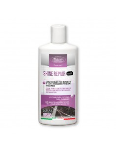 Shine Repair Dark